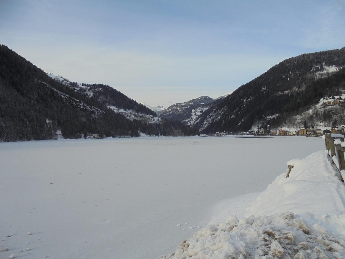 Hotel Alle Alpi 3*